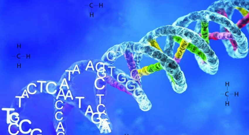 lysine-k-acetylation-is-a-reversible-post-translational-modification