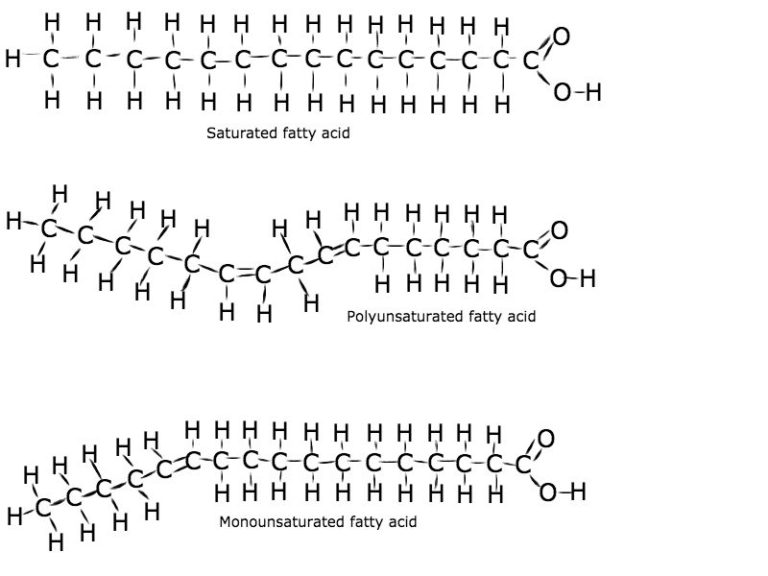 Жирные кислоты рисунок - 92 фото