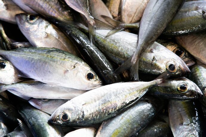 Fish and mercury detox to reduce inflammation